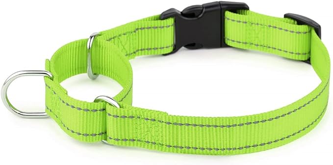 Plutus Pet Reflective Martingale Collar with Buckle - Durable and Adjustable Training Collar for No Pulling, Dog Choker Collar for Small Medium Large Dogs, Bright Green, S
