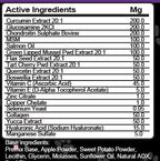 Hip and Joint Supplement Dogs with Glucosamine for Dogs + Chondroitin, Turmeric, Hyaluronic Acid, MSM, Salmon Oil, Collagen, Vitamin C, Omega 3 Senior Dog Supplements Beef Flavor - 1Pack