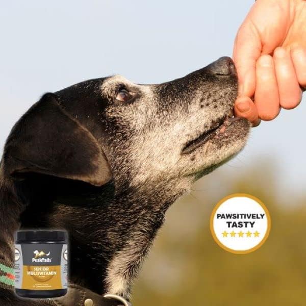 Senior Multivitamin for Dogs – 350 Chewable Tablets with MSM, Superoxide Dismutase
