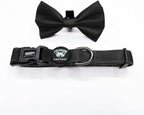 Joyride Harness Dog Collar with Removable Bowtie - Adjustable and Breathable for All Dog Breeds, Strong D-Ring and Heavy Duty Buckle, for Pet Lovers
