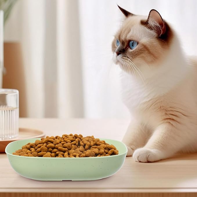 32 Pcs Fatigue Relief Cat Bowl 5.5 Inch Shallow Cat Food Dish Tray Wet Feeding Bowls Wide and Small Pet Plates for Short Legged Kitten,Ferrets,Kitten Shelter(Blue, Green, Pink, Beige)