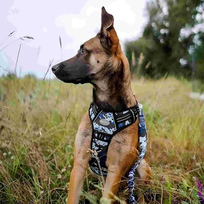 Auroth Tactical Dog Training Harness No Pulling Front Clip Leash Adhesion Reflective K9 Pet Working Vest Easy Control for Small Medium Large Dogs Blue Camo S