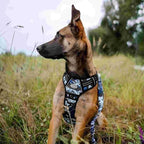 Auroth Tactical Dog Training Harness No Pulling Front Clip Leash Adhesion Reflective K9 Pet Working Vest Easy Control for Small Medium Large Dogs Blue Camo S