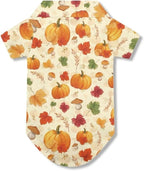 Autumn Pumpkin Dog T-Shirt Teacup Chihuahua Dog Thanksgiving Clothes for Large Dogs Boy Girls Yorkie Puppy Clothes Breathable Collared Polo T-Shirts Doggy Pet Outfits Apparel Tops