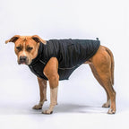 Spark Paws Dog Winter Jacket, Water-Resistant Coat, Warm Reflective Windproof Fleece-Interior, for Medium and Large Dogs - Black - 4XL