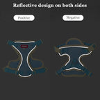 wanheart Cat Harness and Leash Set Escape-Proof Adjustable cat Leash and Harness Combo Suitable for All cat Breeds (Blue, XL)