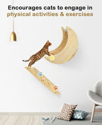 Cat Wall Shelves, Cat Shelves for Wall with Step, Wall Mounted Cat Furniture, Cat Wall Furniture for Climbing, Sleeping and Playing, Cat Wall Steps for Indoor Cats or Kitty