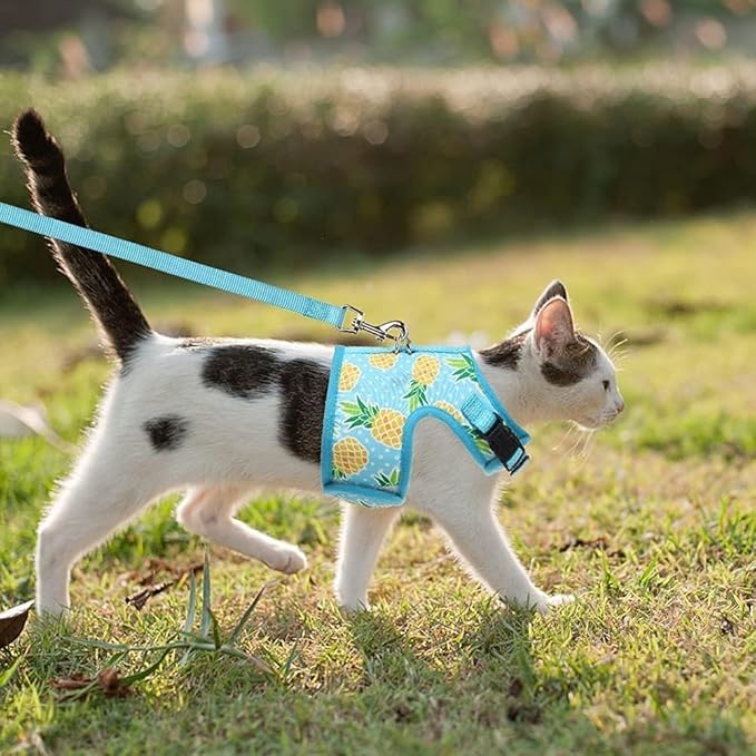 BINGPET Cat Harness - Mesh Cat Dog Walking Harness with Leash - Adjustable Cat Vest Harness for Kittens and Puppies - Pineapple