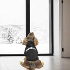 BINGPET Security Dog Hoodies Dachshund Sweater Cold Weather Dog Coats Soft Brushed Fleece Pet Clothes Hooded Sweatshirt for Dog Cat