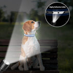 PaiPaitek Shock Collar Replacement Strap for Most of Training Collar, 3/4 Inch Dog Collar Replacement for Wireless Fence and Bark, Adjustable Waterproof TPU Collar Strap - 2 Pack