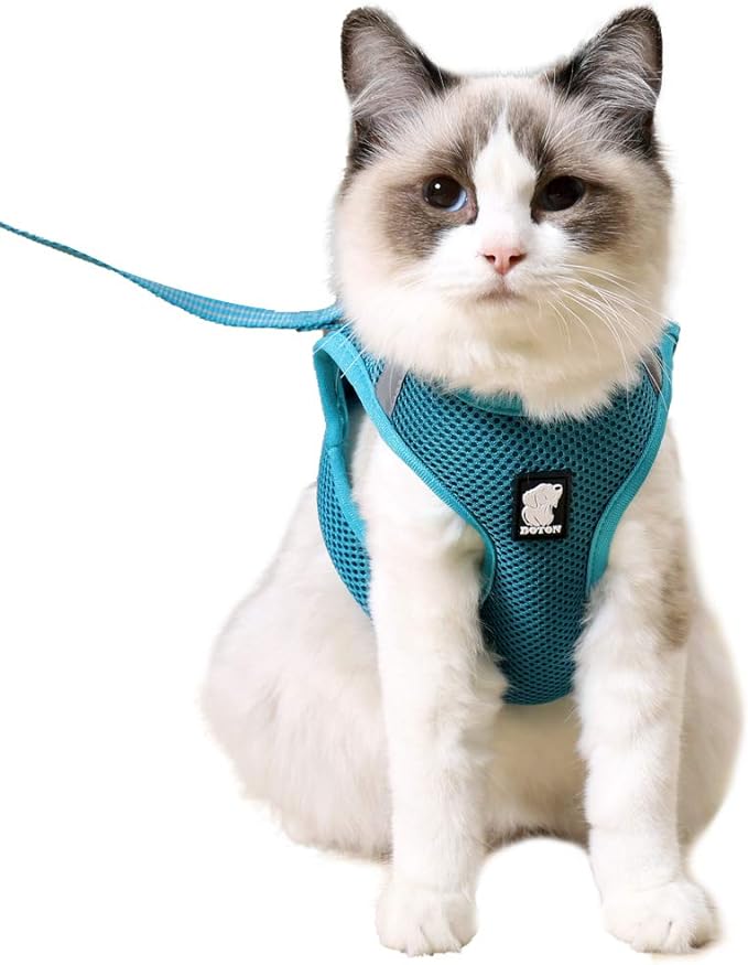 HEYWEAN Cat Harness and Leash - Ultra Light Escape Proof Kitten Collar Cat Walking Jacket with Running Cushioning Soft and Comfortable Suitable for Puppies Rabbits