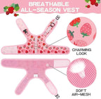 BINGPET Cat Harness with Leash Escape Proof - Fashionable Mesh Cat Dog Walking Harness Leads, Adjustable for Kitties Puppies Small Animals