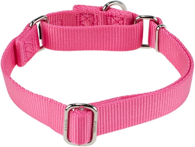 Hyhug Martingale Collar for Dogs Large Pink |Escape - Proof Heavy Duty Nylon Durable No Pull, Ideal for Training & Daily Walks