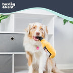 Huxley & Kent Halloween Funny Dog Toy w/Squeaker – Power Plush Squeaky Dog Toys for Small, Medium & Large Dogs – Soft Stuffed Animal for Indoor Play & Fetch - Bottle of Booz, One Size