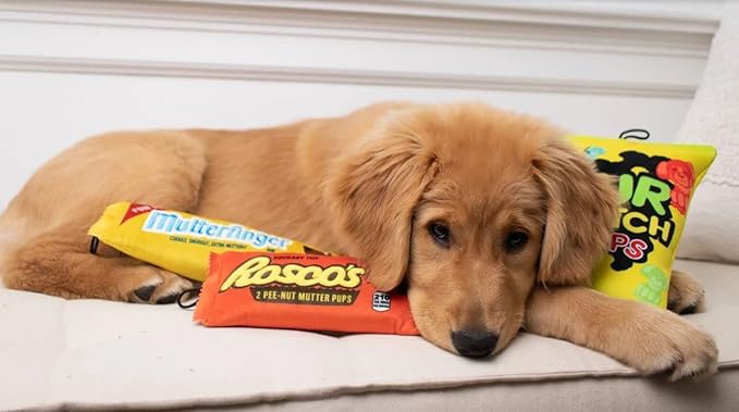 Huxley & Kent Funny Dog Toy w/Squeaker – Power Plush Squeaky Dog Toys for Small, Medium & Large Dogs – Soft Stuffed Animal for Indoor Play & Fetch - Roscos, Large