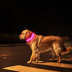 Pceotllar Lighted Dog Collar - Rechargeable, Water-Resistant LED Flashing, Glow in the Dark for Large, Small, Medium Dogs