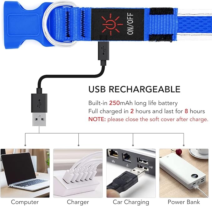 YFbrite Light up Dog Collar, USB Rechargeable LED Puppy Collar Super Bright Adjustable Glowing Dog Lights for Night Walking (Blue, Medium)