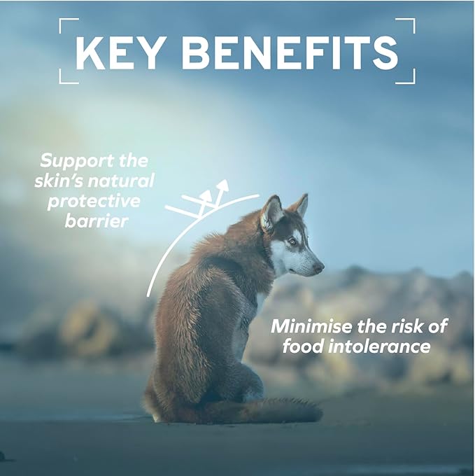 Forza10 - Dog Food, Vet Formulated Wet Dog Food for Allergies, Skin & Coat Support, Non-GMO, Fish Flavor, Made in Italy (3.5 oz, 32 Pack)