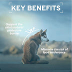 Forza10 - Dog Food, Vet Formulated Wet Dog Food for Allergies, Skin & Coat Support, Non-GMO, Fish Flavor, Made in Italy (3.5 oz, 32 Pack)