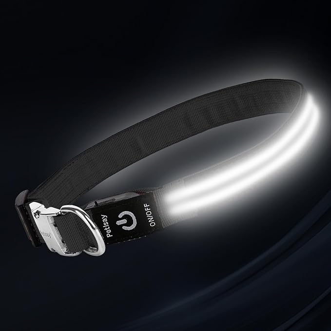 LED Dog Collar with Metal Buckle - USB Rechargeable Glow Collar for Dogs, Waterproof Light Up Dog Collar w/Reflective Strips - Adjustable Night Safety Collars by PetIsay(White,Medium)