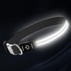 LED Dog Collar with Metal Buckle - USB Rechargeable Glow Collar for Dogs, Waterproof Light Up Dog Collar w/Reflective Strips - Adjustable Night Safety Collars by PetIsay(White,Medium)
