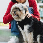 MYLUCKYTAG Stainless Steel QR Code Cat Tags - Online Pet Profile, Scan QR for Instant Location Alerts