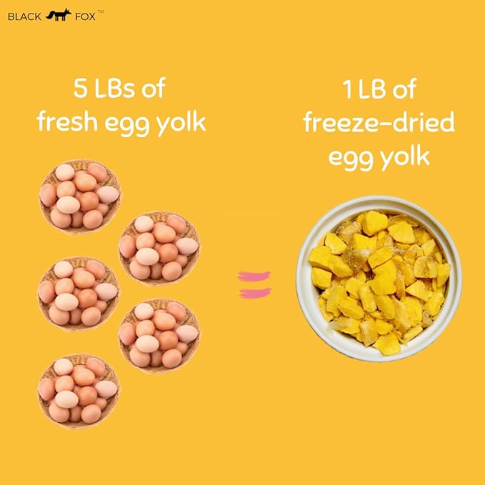 BLACK FOX Freeze-Dried Chicken Egg Yolk Dog Treats | Topper | Cat Treats | 4oz Single Ingredient, Raw, Healthy, All Natural, Human Grade, Digestion & Hairball Control