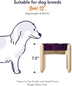 LE TAUCI Ceramic Slow Feed Dog Bowls, Elevated for Small and Medium Breed Dogs, Anti-Gulping Pet Feeding Dishes, Maze Purple, 1.5 Cups