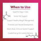 InClover Heart+ Dog and Cat Cardiac Health Supplement - Taurine Supplement for Dogs and Cats - Supports Heart & Immune Health, Pet Supplement for Weight Management & Senior Pet Health