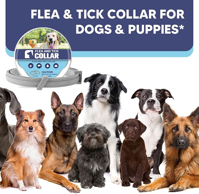 Flea Collar for Dogs, Tick Collar for Larger Dogs, Dog Flea Collars,8 Months Protection,Plant-Based Ingredients,Comfortable Dog Flea Collars – Perfect for Sleep, Play, Walks & Water Fun-2P