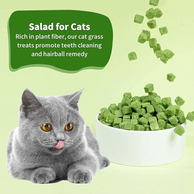 3.8oz Cat Grass Sticks for Hairball Remedy and Teeth Cleaning, Chicken Flavored Hairball Treats for Cats, Natural Freeze Dried for Indoor Cats