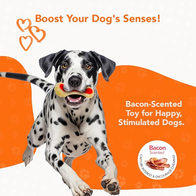 Dental Bone Chew Pet Toy Medium, Bacon-Scented Durable Dog Toys for Aggressive Chewers, Orange