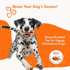 Dental Bone Chew Pet Toy Medium, Bacon-Scented Durable Dog Toys for Aggressive Chewers, Orange