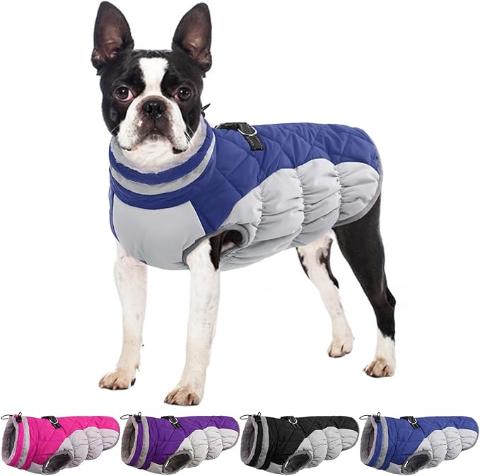 Dog Coats for Small Dogs, Puppy Coat, Warm Winter Jacket, XS Dog Coat with Harness Built in, Waterproof Pet Cold Weather Coats, Puppy Winter Clothes Snowsuit Chihuahua Maltese,Blue,XS