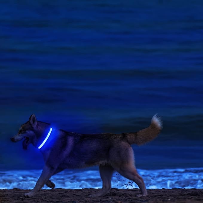 MASBRILL LED Dog Collar-Light Up Dog Collars Rechargeable Lighted Dog Collar Night Walking Glow Collar for Dogs
