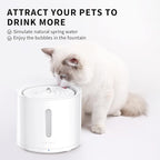 PETKIT EVERSWEET Solo 2 Cat Water Fountain with Wireless Pump, Ultra Quiet 70oz/2L Pet Water Fountain for Cats and Dogs Inside, 3 Working Modes, Visualization Window, App Control