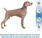 Natural & Safe Flea and Tick Collar for Large Dogs,Safe and Effective Flea and Tick Repellent, 8 Months Protection, Waterproof, Free Comb and Tick Removal Tool, Flea Repellent Drops, 27.5 inch,1-Pack
