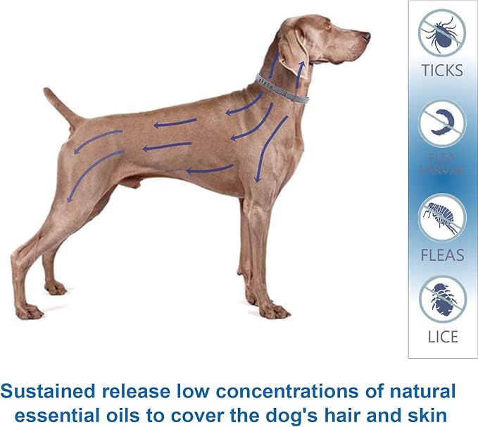 Natural & Safe Flea and Tick Collar for Large Dogs,Safe and Effective Flea and Tick Repellent, 8 Months Protection, Waterproof, Free Comb and Tick Removal Tool, Flea Repellent Drops, 27.5 inch,1-Pack