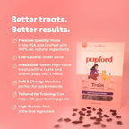Pupford Soft & Chewy Training Treats for Dogs & Puppies (Pork, 5 oz)
