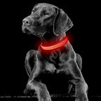 YFbrite Light up Dog Collar, USB Rechargeable LED Puppy Collar Super Bright Adjustable Glowing Dog Lights for Night Walking (Red, Medium)