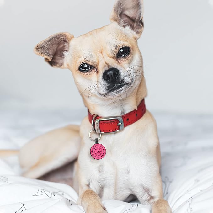 MYLUCKYTAG QR Code Silicone Pet ID Tag Dog Cat Tag, Online Pet Profile, Pet Location Alert Email, Digital Pet Tag, Quiet Dog Tag, Durable Pet ID, Dog Collar Tag, Engraved Pet Tag