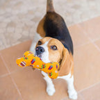 SCENEREAL Dog Birthday Party Gift Squeaky Dog Toys - 4 Packs Pet Plush Toy Durable Cute Bone Interactive Dog Stuffed Toys with Squeaker Chew Toys for Small Medium Dogs Puppies (Bone Pattern)