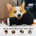 Dog Squeak Toys for Small, Medium & Large Dogs, Tough Chew Toy for Teething & Chewing, Durable Interactive Puppy Gifts, 5-Pack