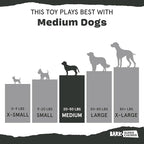 Barkbox Pumpkin Prodigy Dog Toy | Treat-Dispensing Rubber Dog Toy for Aggressive Chewers | Durable Dog Chew Toy for Medium Dogs & Puppy Essentials