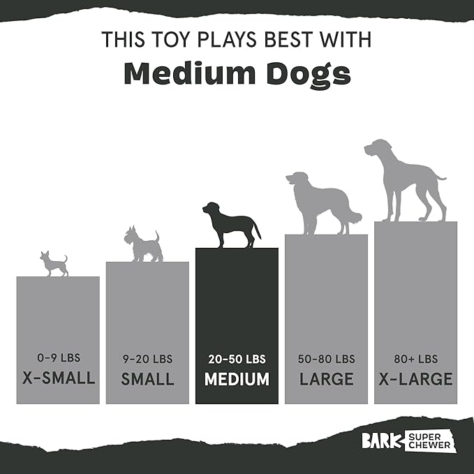 Barkbox Pumpkin Prodigy Dog Toy | Treat-Dispensing Rubber Dog Toy for Aggressive Chewers | Durable Dog Chew Toy for Medium Dogs & Puppy Essentials