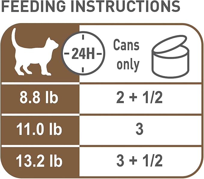 Royal Canin Feline Health Nutrition Aging 12+ Senior Thin Slices in Gravy Cat Food, 3 oz (Pack of 24)