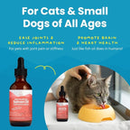 Paramount Pet Health Wild Alaskan Salmon Oil for Cats & Small Dogs, Supports Skin, Coat, Joint & Overall Well-Being, Pure & Premium Alaskan Salmon Oil for Dogs & Cats with No Fillers, 2 oz