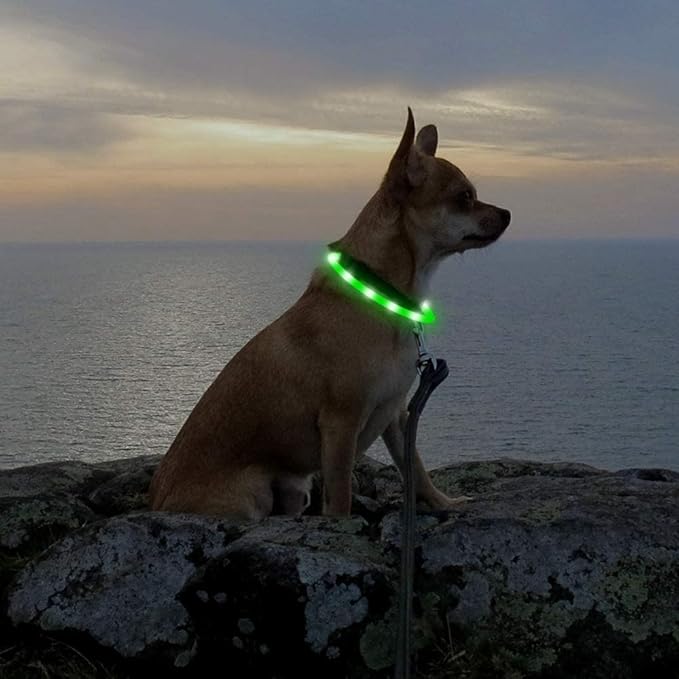 LED Dog Collar - HIGO Light Up Dog Collars Glow in The Dark, USB Rechargeable LED Dog Necklace Light for Your Dogs Walking at Night (Green-Silicone)