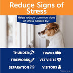 ThunderWunders Dog Calming Chews | Thiamine, L-Tryptophan, Melatonin and Ginger | Can Help Relieve Stress from Separation, Storms, Fireworks & Travel (180 Count)