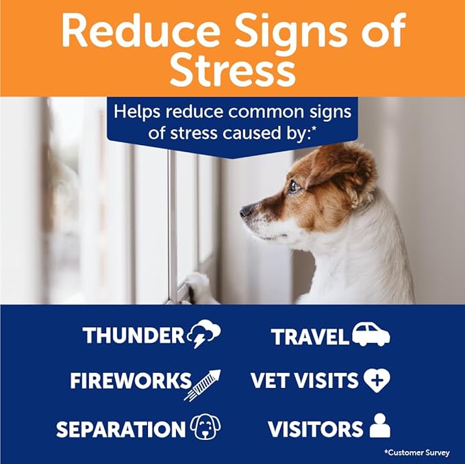ThunderWunders Dog Calming Chews | Thiamine, L-Tryptophan, Melatonin and Ginger | Can Help Relieve Stress from Separation, Storms, Fireworks & Travel (60 Count)